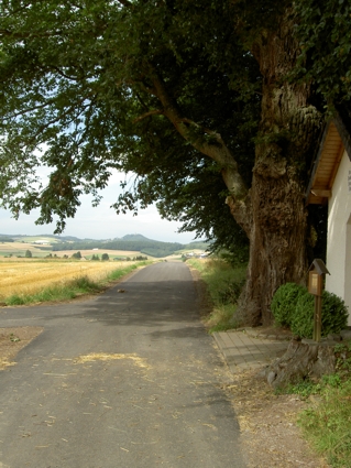 Wohnen-Kirchweg