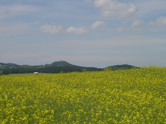 Wohnen-Nrburg